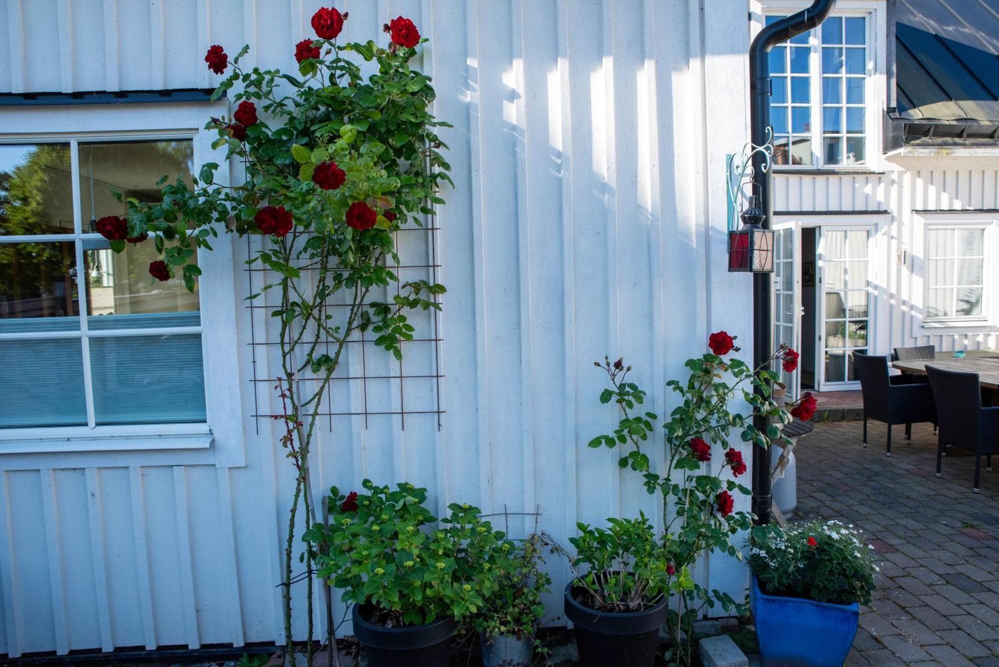 Guest House Tullgatan 24 Borgholm Bagian luar foto
